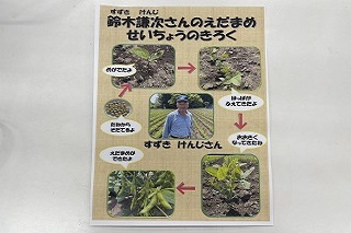 公立保育所で流山産の枝豆を提供