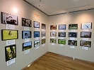 手賀沼流域7市巡回野鳥写真展