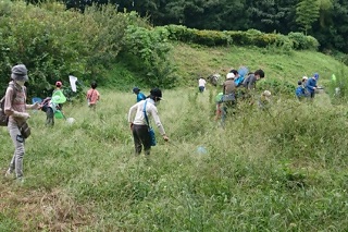 大畔の森にて虫の解説