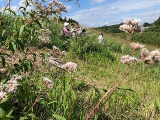 流山をA・RU・KU　万葉植物を訪ねて