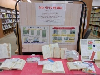 令和4年11月13日まで、森の図書館で特設展示「かわいそうな本」を開催しています。