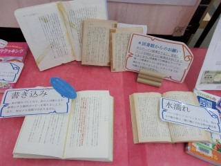 令和4年11月13日まで、森の図書館で特設展示「かわいそうな本」を開催しています。