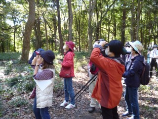 令和4年10月20日、森の図書館で「初心者のための野鳥観察」が開催されました。