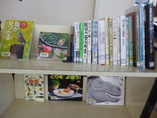 令和4年10月20日、森の図書館で「初心者のための野鳥観察」が開催されました。