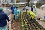 広場の植栽活動