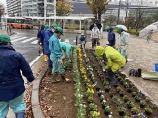 令和4年度秋期流山おおたかの森駅前広場の植栽活動