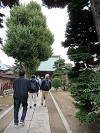 流山をA・RU・KU赤城神社本殿内見学と本町の七福神をめぐる