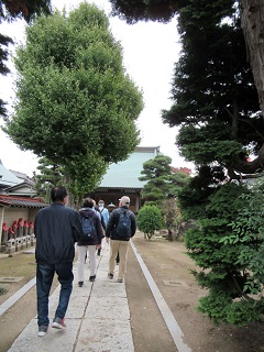 流山をA・RU・KU赤城神社本殿内見学と本町の七福神をめぐる