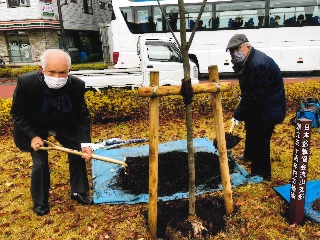 盆栽部市長室訪問の様子