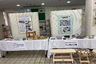 展示物の様子