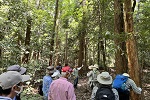 森の保全活動ボランティア講習会