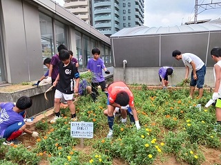 活動の様子