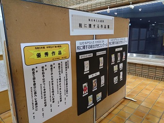 展示2