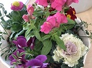 出来上がった鉢植えの写真。ピンク、紫、白、赤などの花が見える