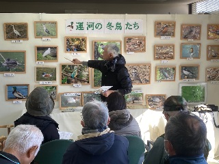「運河の冬鳥たち」というさまざまな鳥の写真が貼られたパネルの前で説明をする講師とそれを聞く参加者の写真