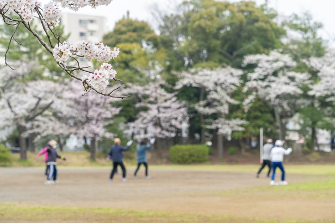 南流山中央公園の桜