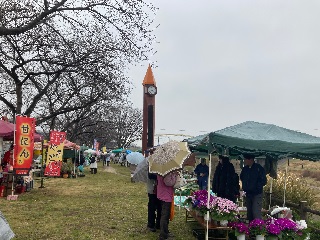 令和6年3月23日（土曜日）、運河水辺公園で「うんがいい！朝市＆桜まつり」が開催されました。
