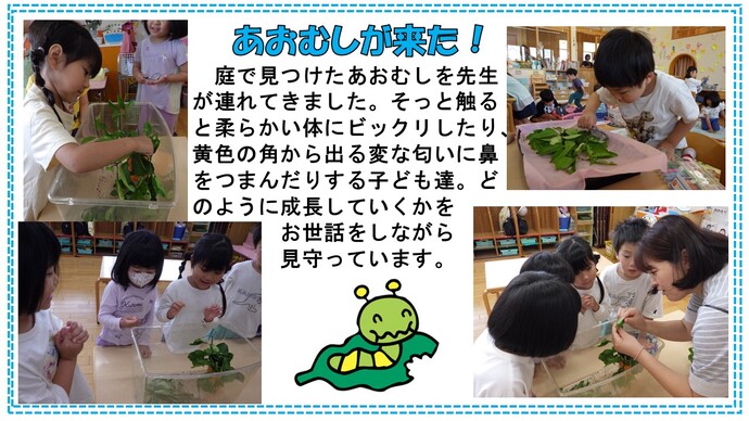 aomusi