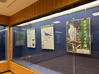 市の鳥オオタカパネル展