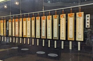 展示の様子