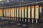 展示の様子