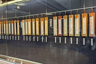 展示の様子