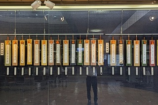 展示の様子