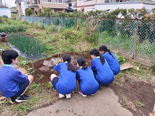 グリーンウェイブ活動2025東深井中学校