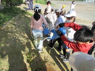 グリーンウェイブ活動2025南流山第二小学校