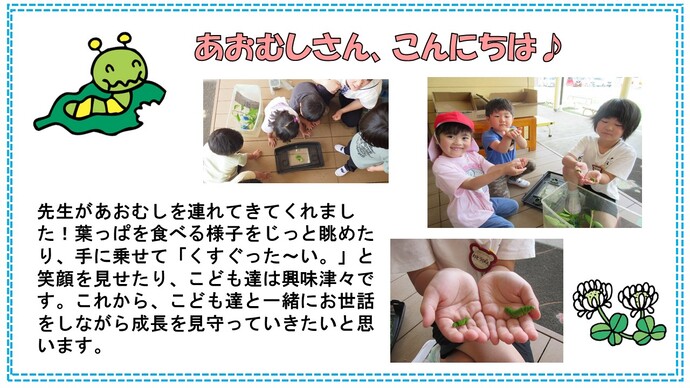 aomusi