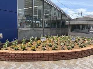 整備された花壇