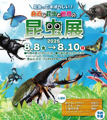 身近な昆虫と世界の昆虫展