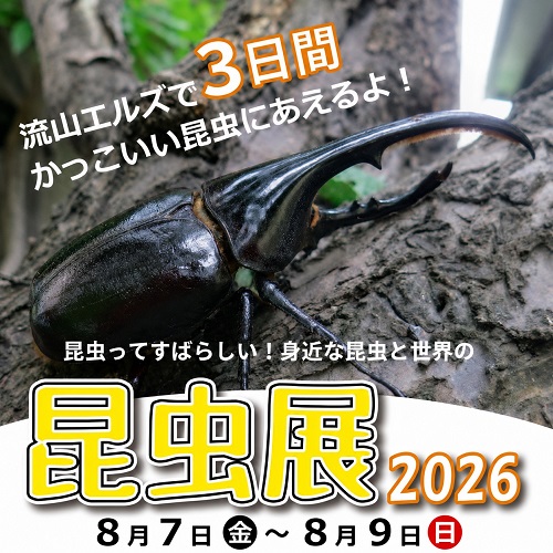 身近な昆虫と世界の昆虫展