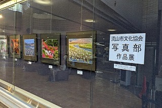 市民ギャラリー　流山市文化協会写真部作品展の様子1