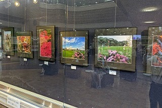 市民ギャラリー　流山市文化協会写真部作品展の様子2