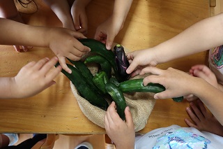 収穫した野菜