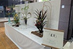 四季の花々展「夏空」の様子