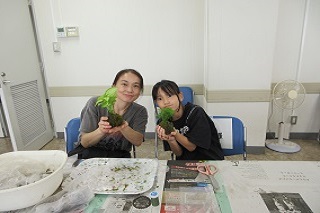完成した苔玉を手に取る様子