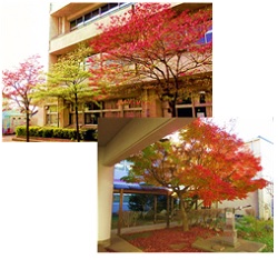 東深井中学校