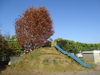流山北小学校