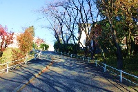 西初石中学校