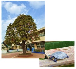 新川小学校