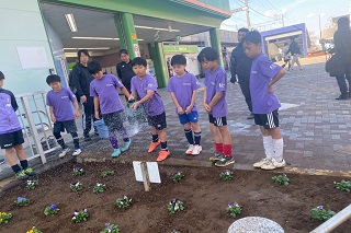 植え替えのようす