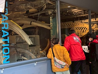 青少年相談員北部地区事業