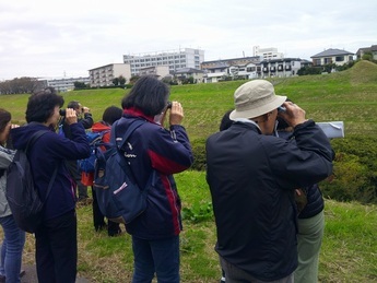 初心者のための野鳥観察　春の野鳥