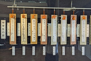 市民ギャラリー「流山少年少女俳句大会入選作品展」