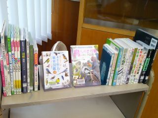 令和8年4月2日、森の図書館で「初心者のための野鳥観察　春の野鳥」が開催されました。
