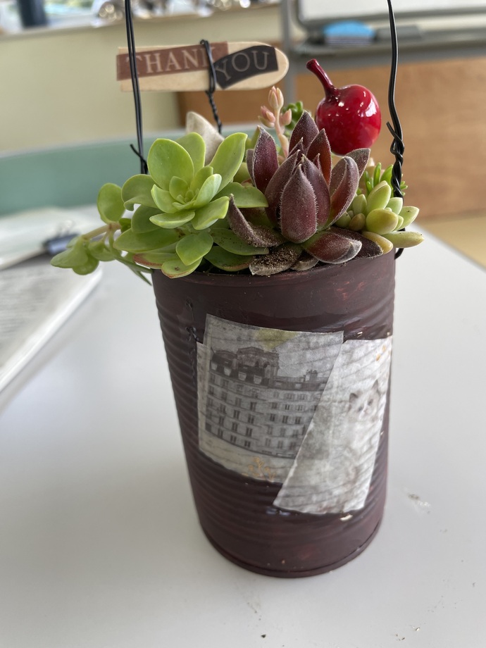 リメイク缶で作る多肉植物の寄せ植え