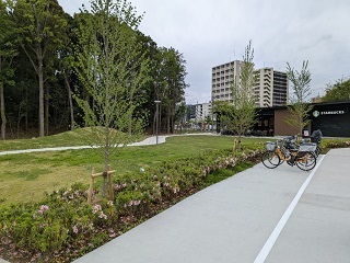 整備を行った公園の写真