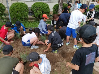 東深井小学校で実施した様子